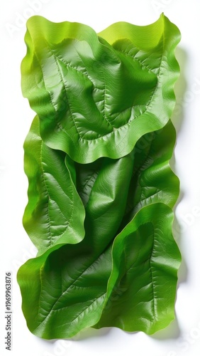 A close-up shot of a group of green leaves