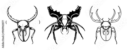 Stag beetle set with detailed mandibles featuring insect, invertebrate, bug with entomology and biology