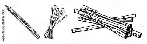Palo Santo sticks set with black line art design featuring holy wood, smudge sticks, aromatherapy with spiritual and wellness themes