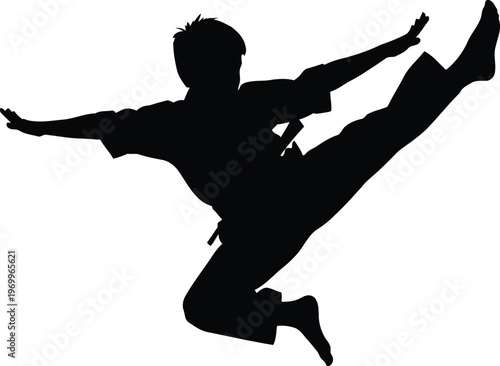 Silhouette of a martial artist performing a high kick in midair during a dynamic training session
