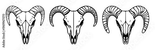 Ram skull set with minimalist line art style featuring animal, head, skeleton with tribal and tattoo design