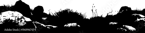 A silhouette of sparse vegetation and rocks in a barren tundra landscape