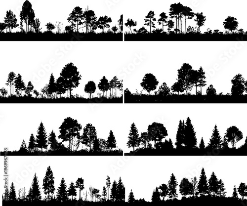Silhouette of various trees and plants in a dense forest line