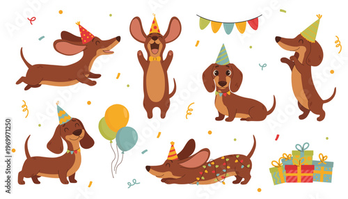 Cute dachshund dogs birthday party set with balloons, gifts and confetti. Vector illustration
