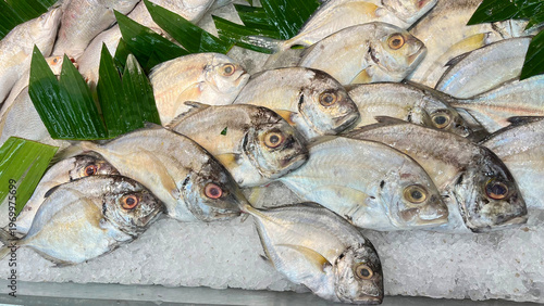 Fresh fishes displayed on ice in local supermarket for sale. 