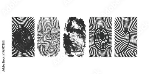 Set of five detailed human fingerprint patterns isolated on white background for security and identification vector illustration
