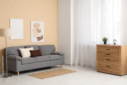 Cozy sofa, floor lamp, pict...