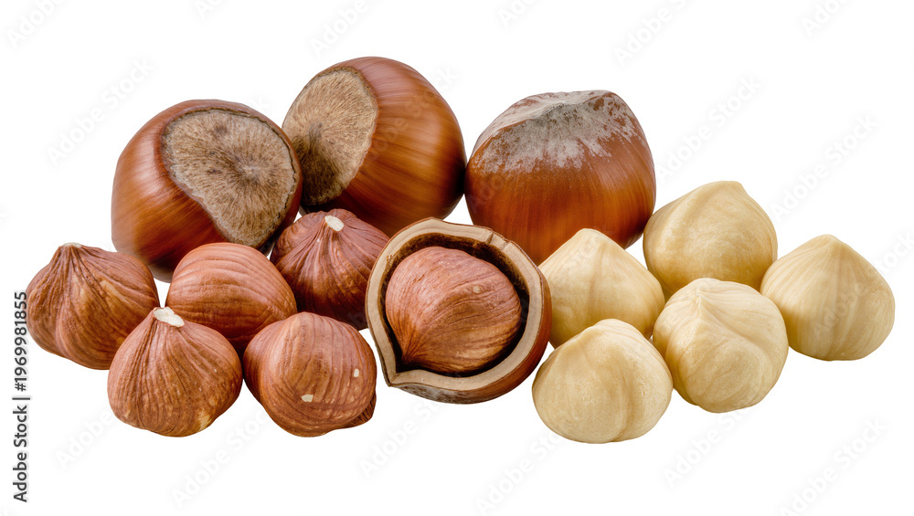 Fototapeta premium Assorted whole hazelnuts, displaying varied textures and shapes
