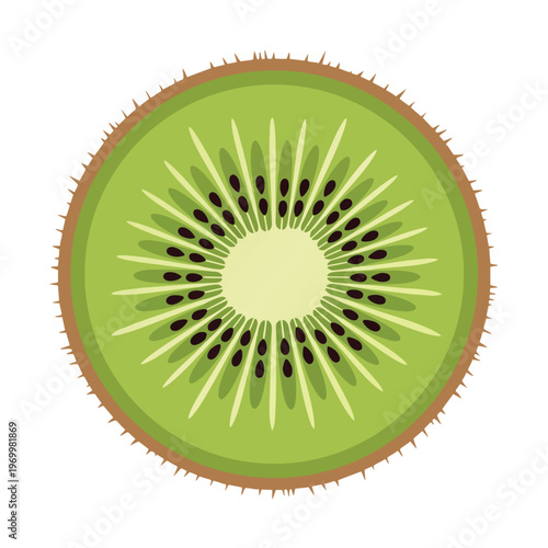 Close-up slice of kiwi fruit, showcasing bright green flesh, dark seeds, and fuzzy brown skin