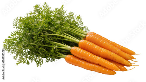 Canvastavla Fresh orange carrots with vibrant green fronds, arranged in a rustic pile