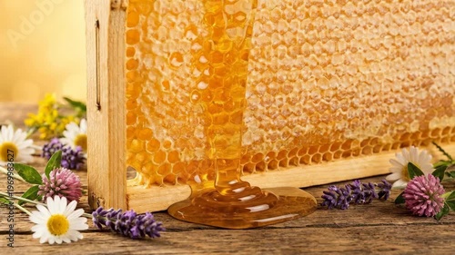 Golden honey dripping from a fresh honeycomb frame. Springtime floral arrangement with daisy and lavender on wood. Organic food production concept for healthy sugar substitute and natural apiculture