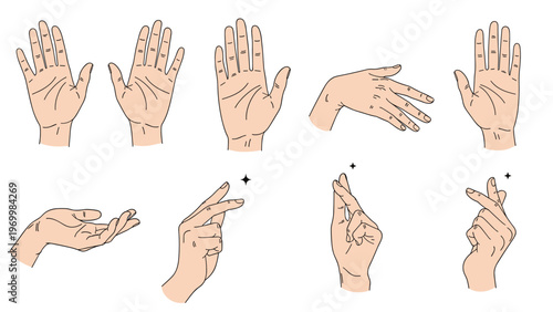 Anatomical sketches of human hands showing different gestures including open palms pointing and crossing fingers in a realistic drawing style.