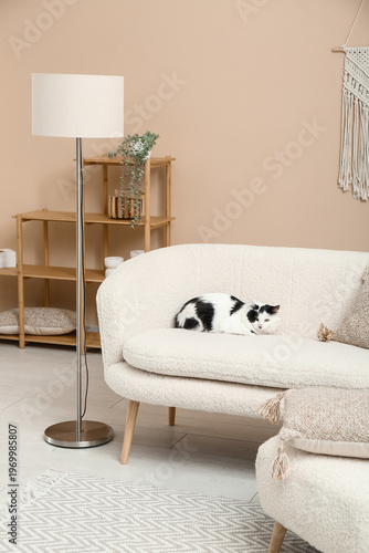 Interior of light living ro...