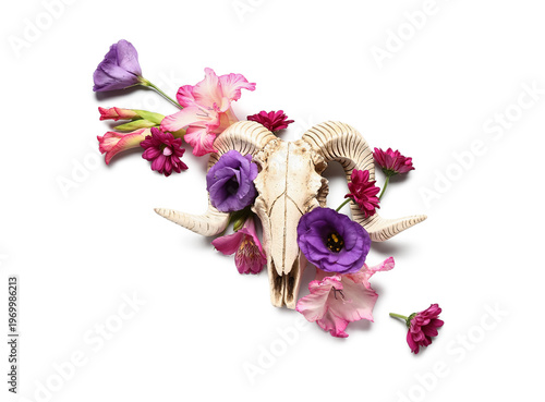 Composition with skull of s...