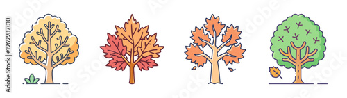 Autumn tree vector icons set, colorful fall foliage and maple leaves in flat line style, 4 seasonal forest elements for nature design