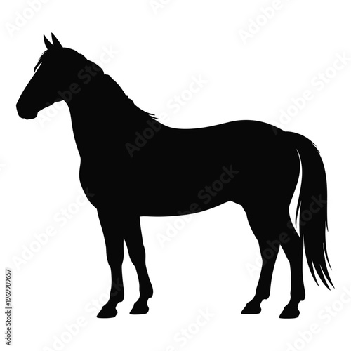 A majestic horse stands in profile a striking black silhouette