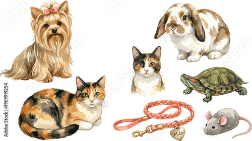 Collection of cute domestic animals and pet accessories including a dog, cat, rabbit, turtle, mouse, and leash