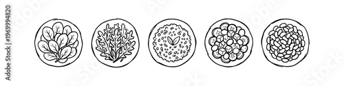 Hand-drawn line art illustration of five healthy food bowls with fresh greens, rice, salad, and beans. Minimalist black and white sketches for vegan or vegetarian meal prep concepts.