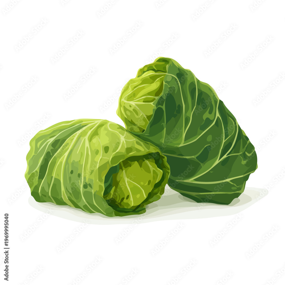 Fototapeta premium Flat 2D Cabbage Rolls vector illustration, icon graphic on white background