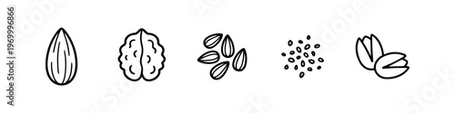 Minimalist black line icons of healthy nuts and seeds including almond, walnut, sunflower seeds, sesame, and pistachios isolated on white background.