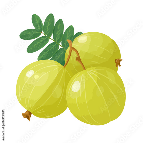 Minimalist 2D vector icon representation of a Amla, displayed on a pure white background