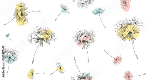 Dandelion flowers blowing in wind.