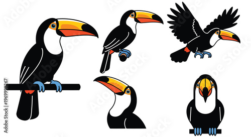 Set of toco toucan bird cartoon illustrations in various poses including flying, perched, and front view on white background.