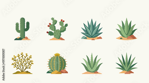 Diverse collection of arid desert plants in flat design, featuring various cacti and succulents like saguaro, prickly pear, and agave, ideal for botanical projects and graphic design