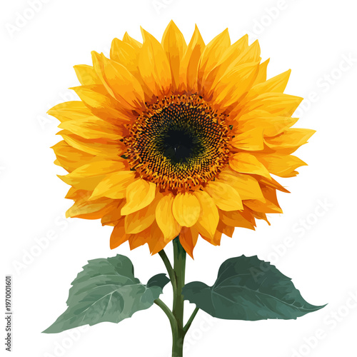 Minimalist 2D vector icon representation of a Sunflower, displayed on a pure white background