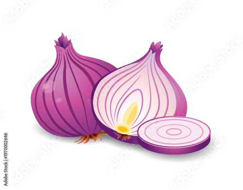 Red onion whole and sliced vector illustration.