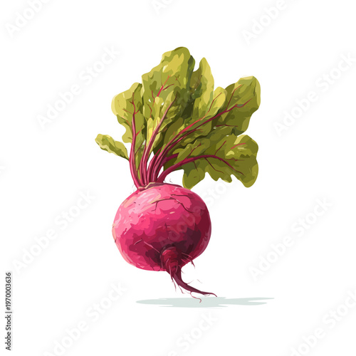 Minimalist 2D vector icon representation of a Beetroot, displayed on a pure white background
