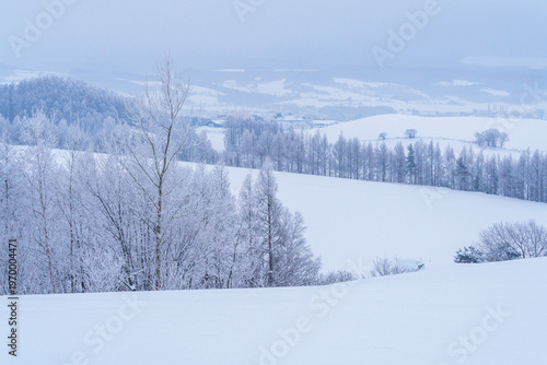 Foto Frost-covered trees in Biei and Furano, Hokkaido, Japan in winter landscape