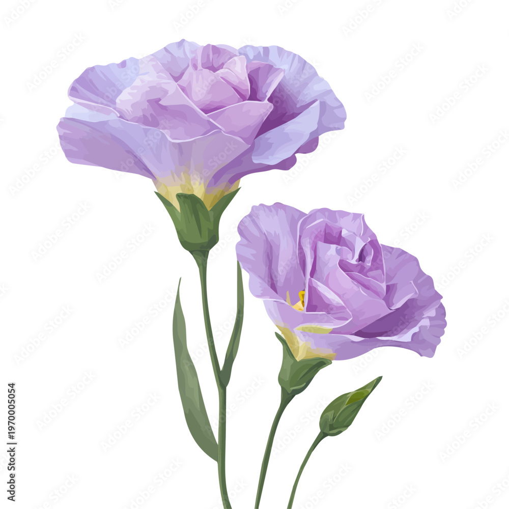 Fototapeta premium Flat 2D Eustoma vector illustration, icon graphic on white background