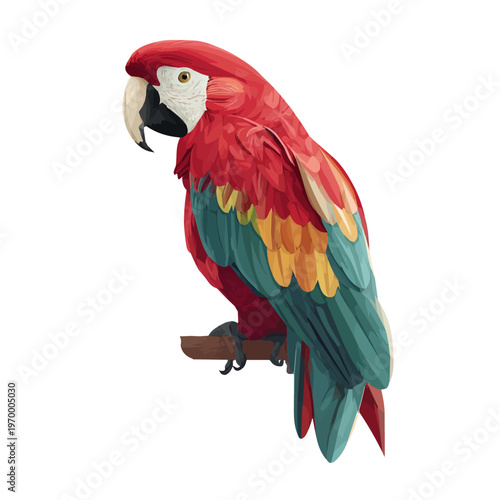 Minimalist 2D vector icon representation of a Macaw, displayed on a pure white background