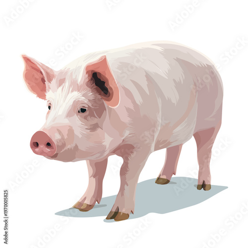 Minimalist 2D vector icon representation of a Pig, displayed on a pure white background