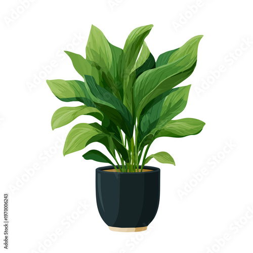 Flat-design 2D vector artwork of a Cast Iron Plant, styled as an icon and isolated against white background