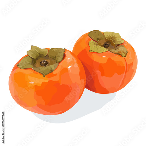 Simple flat 2D vector graphic of a Persimmon in modern icon style, isolated on a white canvas