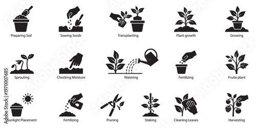 Gardening process and plant growing stages step by step icon set. Vector Illustration. EPS 10