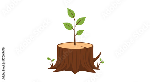 A green sapling with five leaves sprouts from the center of a brown tree stump with two smaller saplings at its base on a white background.
