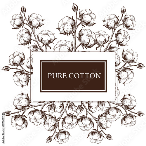 Pure cotton label with hand drawn cotton branches. Vintage botanical illustration with frame for textile branding, packaging and organic fabric design. Natural fiber concept isolated on background.