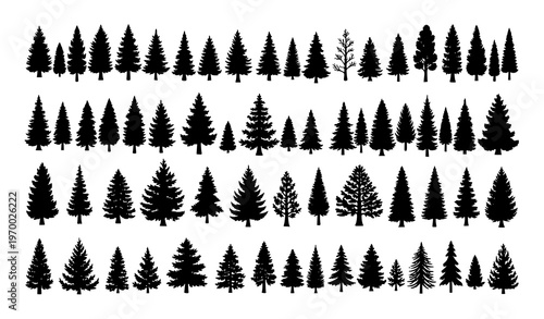 Hand drawn pine and fir tree vector icon set with natural forest silhouettes and detailed evergreen shapes