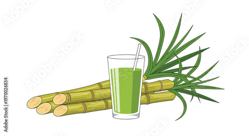 A cluster of green sugar cane stalks with leaves is depicted next to a glass of green juice with a straw on a white background.