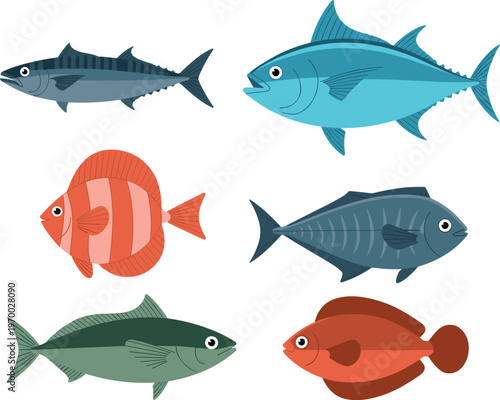 Marine fish species vector set, realistic ocean seafood illustration, tuna mackerel reef fish collection, aquatic wildlife design, isolated background composition