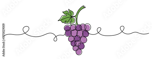 Grape cluster hanging with leaf on decorative looping line