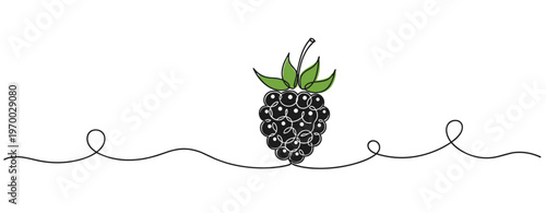 Blackberry resting on continuous line in white background
