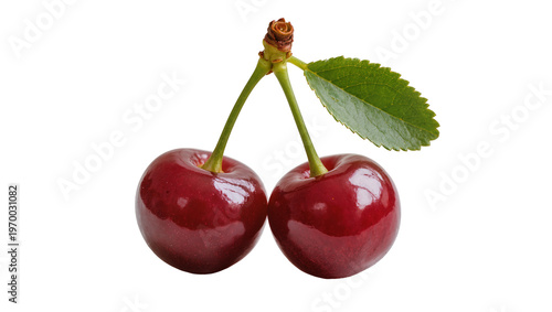 Photos Glossy dark red cherries hanging from a stem, accompanied by vibrant green leave
