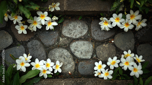 Blooming Embrace: Exquisite plumeria blossoms artfully frame a rustic stone pathway, creating a captivating fusion of nature and texture. 