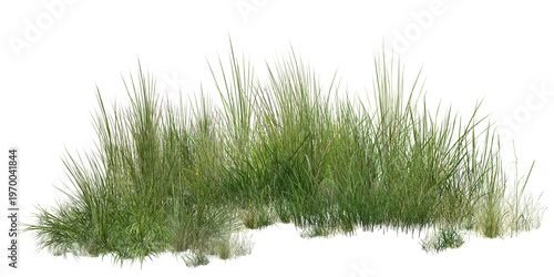 Foto grass isolated on white background/professional-grade isolated grass border, fea