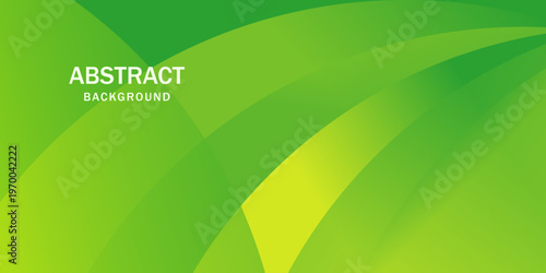 Abstract green banner background. Graphic design banner pattern background template with dynamic curve shapes