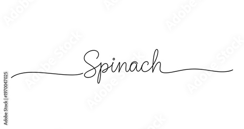Elegant handwritten spinach text on white background. No editable strokes